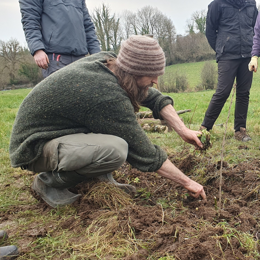 Introduction to Food Forest Design