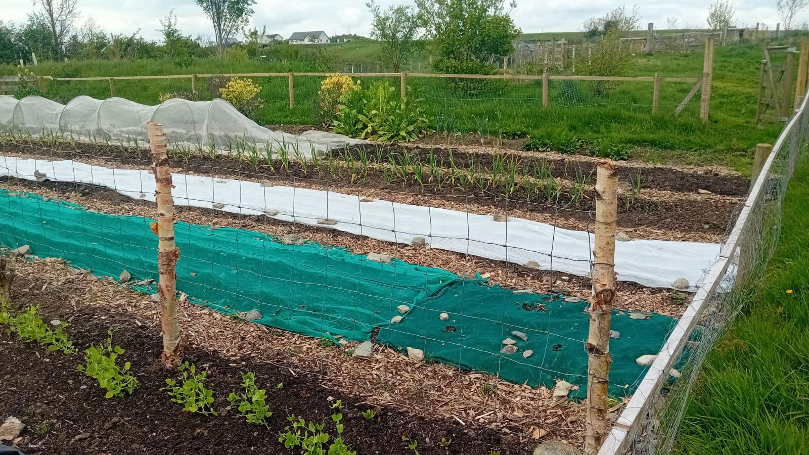 Farm Open Day