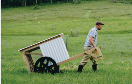 Workshop: Build Your Own Chicken Tractor For Healthy Hens & Eggs