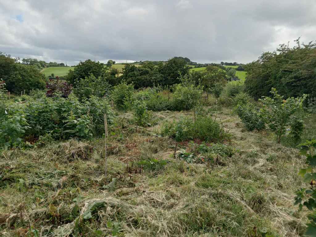 Food Forest