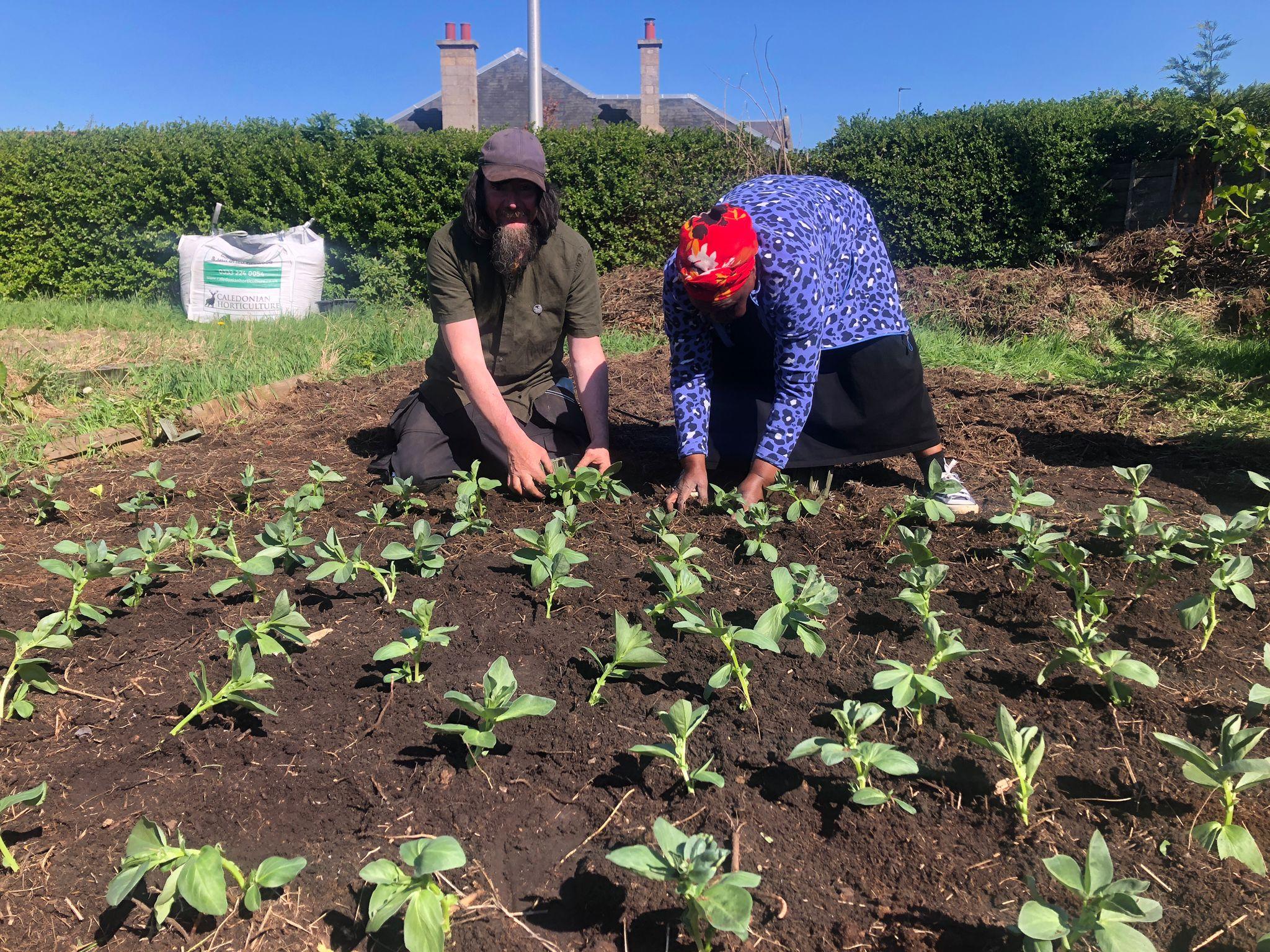 Seeds & Seeds Saving