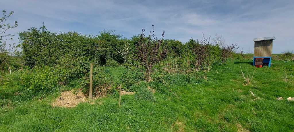 Food Forest