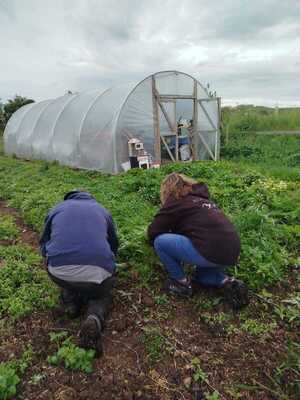 Polytunnel