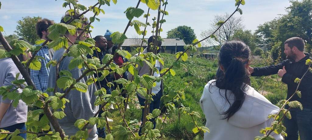Food Forest