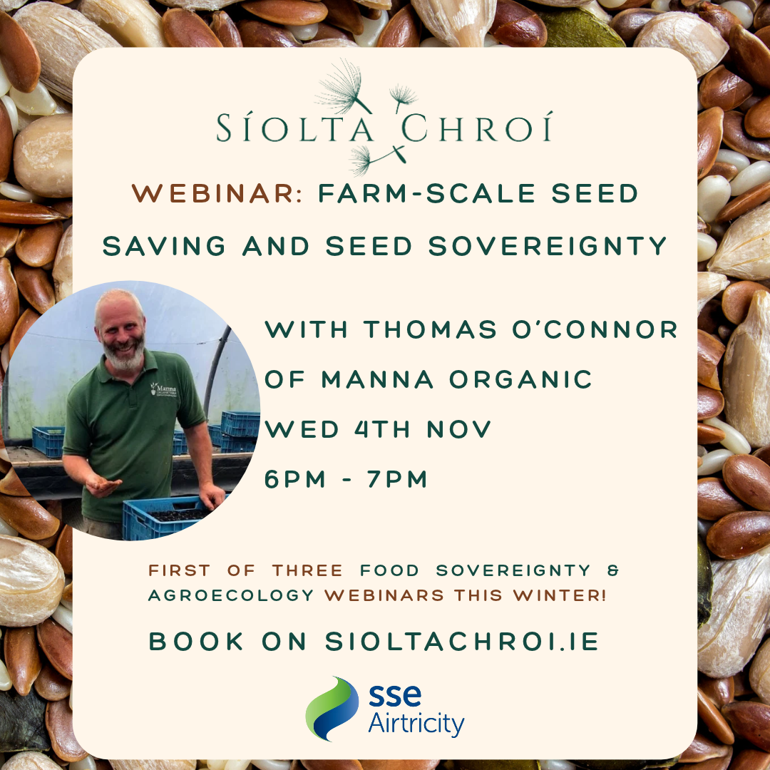 Webinar on Farm-Scale Seed Saving and Seed Sovereignty