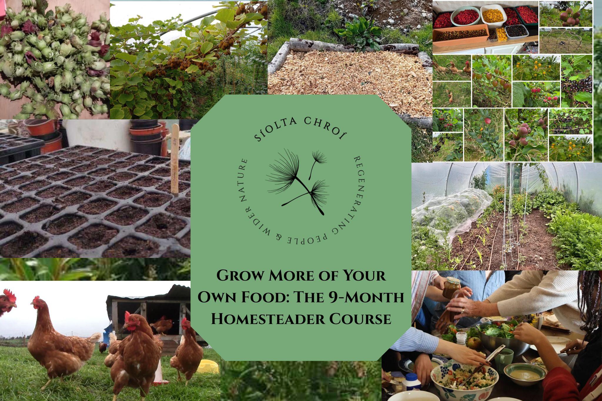 Grow More of Your Own Food: The 9-Month Homesteader Course